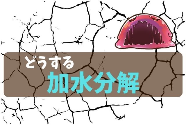 合皮の加水分解を防ぐには 日常生活でこの4点に注意しよう 革好きの情報ブログ 革らばん